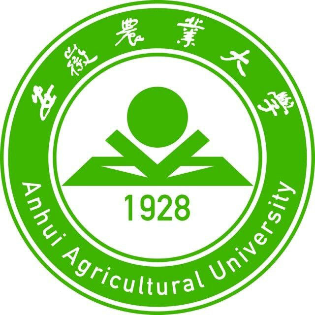 安徽农业大学MPAcc简章